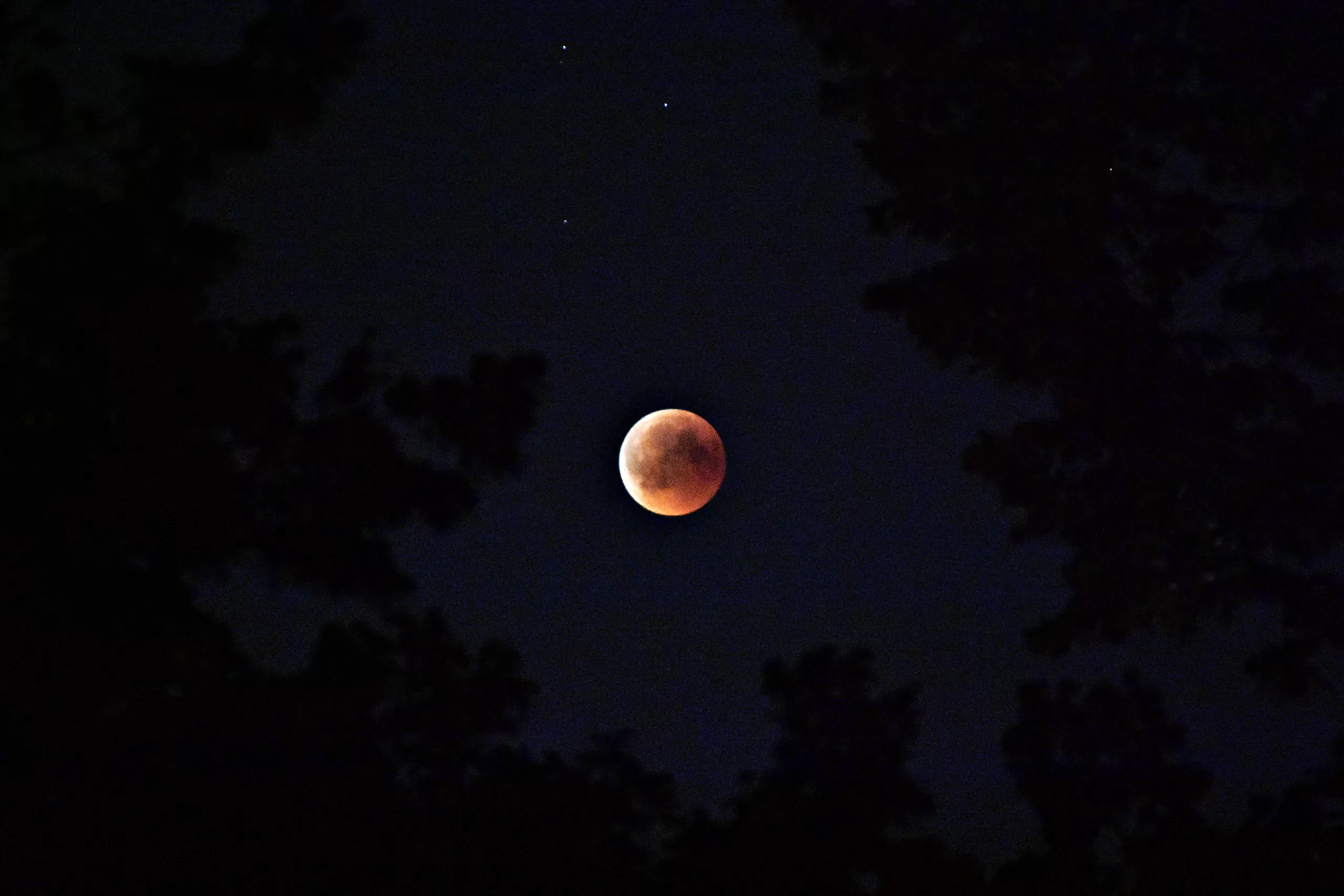 IL MIO RITUALE DI LUNA 🌙 (manifestare i desideri, diario lunare..) 